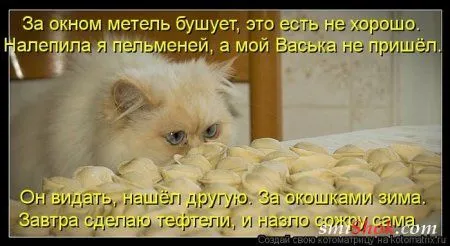 отоматррицы прикольные и всегда вовремя! отоматррицы прикольные и всегда вовремя!