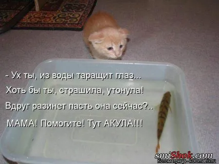 отоматррицы прикольные и всегда вовремя!