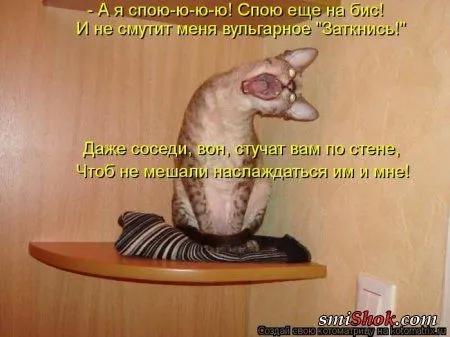 отоматррицы прикольные и всегда вовремя! отоматррицы прикольные и всегда вовремя!