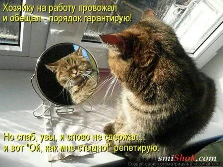 отоматррицы прикольные и всегда вовремя! отоматррицы прикольные и всегда вовремя!