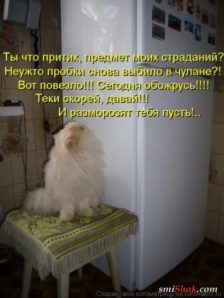 отоматррицы прикольные и всегда вовремя! отоматррицы прикольные и всегда вовремя!