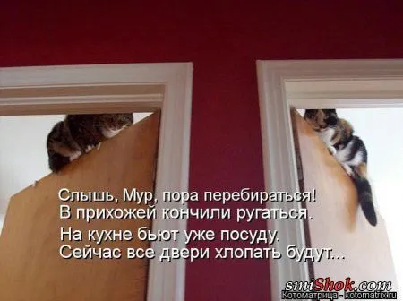 отоматррицы прикольные и всегда вовремя! отоматррицы прикольные и всегда вовремя!