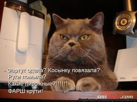 отоматррицы прикольные и всегда вовремя! отоматррицы прикольные и всегда вовремя!