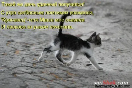 отоматррицы прикольные и всегда вовремя! отоматррицы прикольные и всегда вовремя!