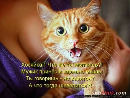 отоматррицы прикольные и всегда вовремя! отоматррицы прикольные и всегда вовремя!