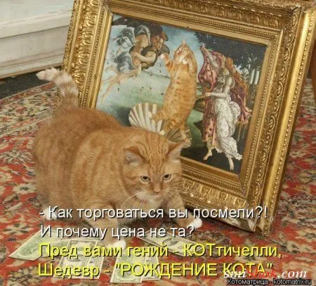 отоматррицы прикольные и всегда вовремя! отоматррицы прикольные и всегда вовремя!