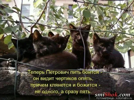 отоматррицы прикольные и всегда вовремя! отоматррицы прикольные и всегда вовремя!
