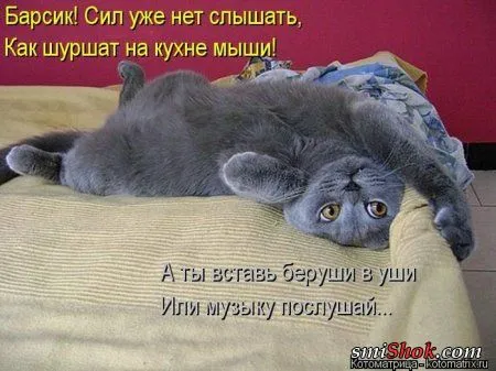 отоматррицы прикольные и всегда вовремя! отоматррицы прикольные и всегда вовремя!