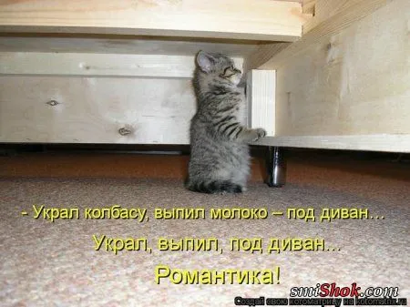 отоматррицы прикольные и всегда вовремя! отоматррицы прикольные и всегда вовремя!