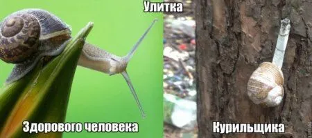 Опять прикольные картинки
