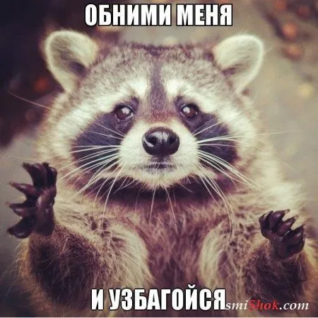 Опять прикольные картинки