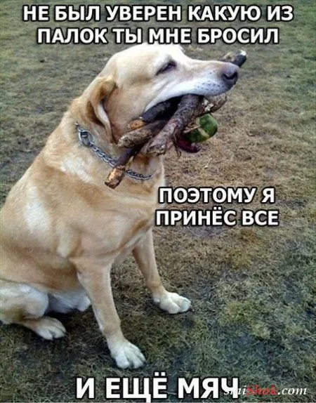 Опять прикольные картинки
