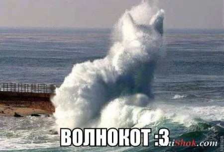 Опять прикольные картинки
