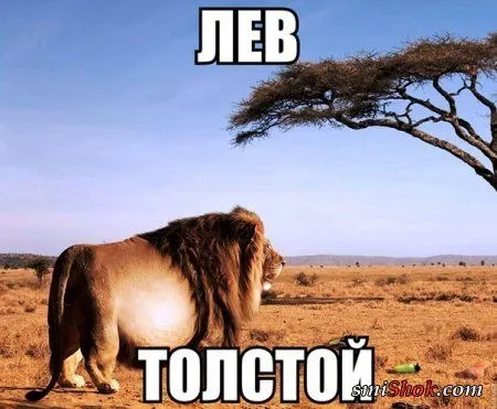 Опять прикольные картинки