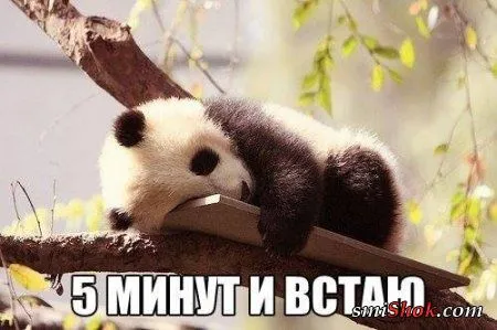 Приколы-найди время для позитива Приколы-найди время для позитива