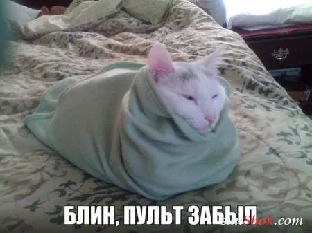 Приколы-найди время для позитива Приколы-найди время для позитива