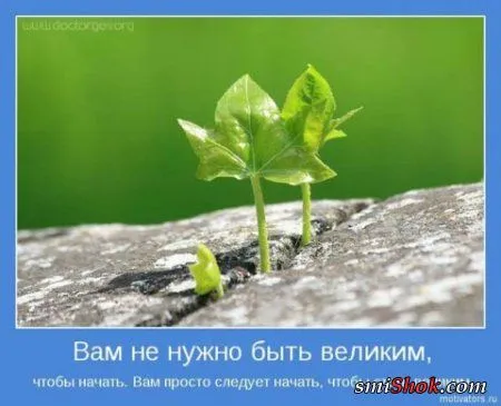 Всем - хорошего настроения!)) Всем - хорошего настроения!))