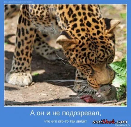Всем - хорошего настроения!)) Всем - хорошего настроения!))