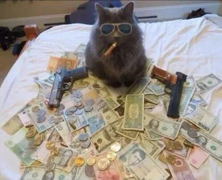 Смех да и только