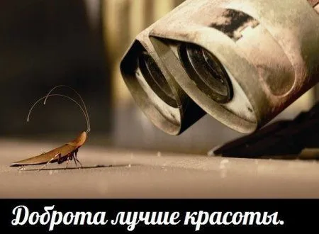 Смех да и только