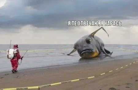Смех да и только