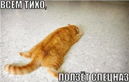 Смех да и только