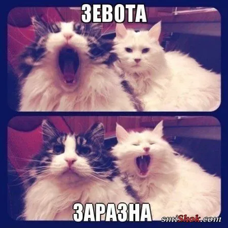 Фотоприколы - им нет конца и края