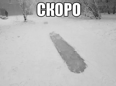 Фото и фразы, для любителей смешного