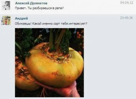 Фото и фразы, для любителей смешного