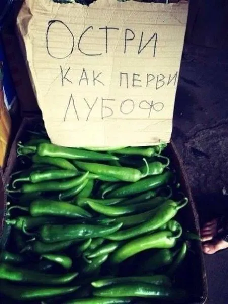 Фото и фразы, для любителей смешного