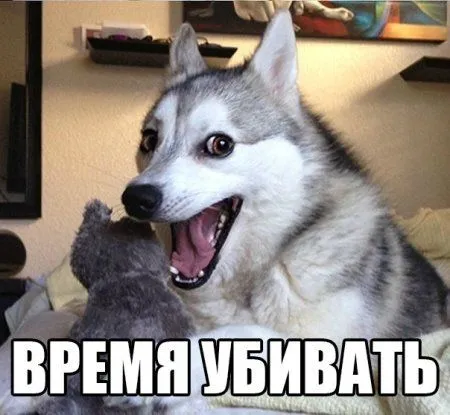 Прикольные картинки и фото, далее Прикольные картинки и фото, далее