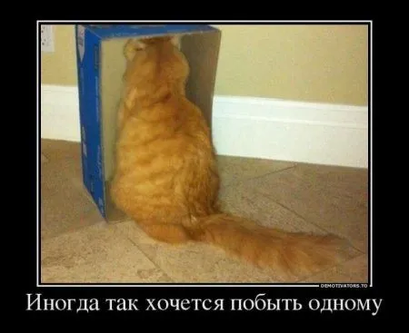 Демотиваторы с прикольными словами и картинками.