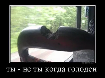 Демотиваторы с прикольными словами и картинками.