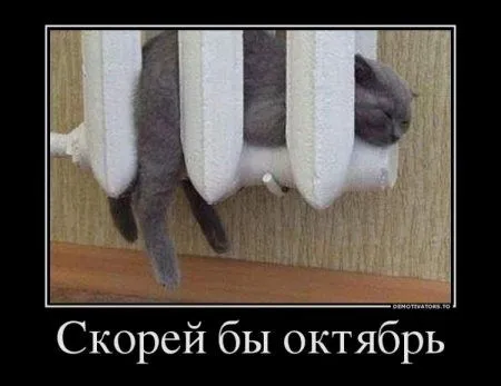 Демотиваторы с прикольными словами и картинками.