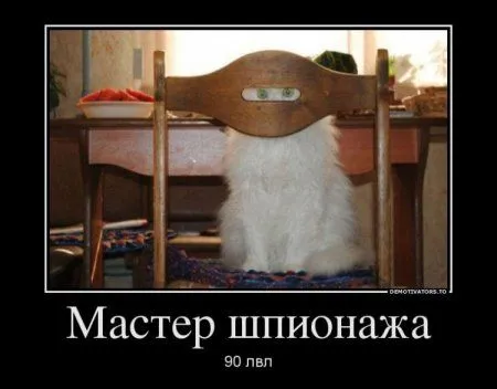 Демотиваторы с прикольными словами и картинками.