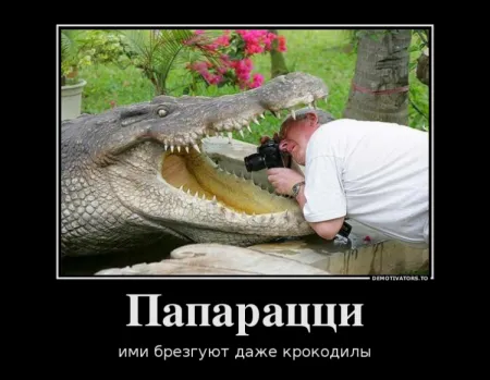 Демотиваторы с прикольными словами и картинками.