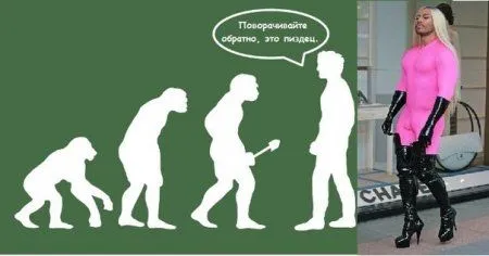 Своя атмосфера, прикольные карикатуры