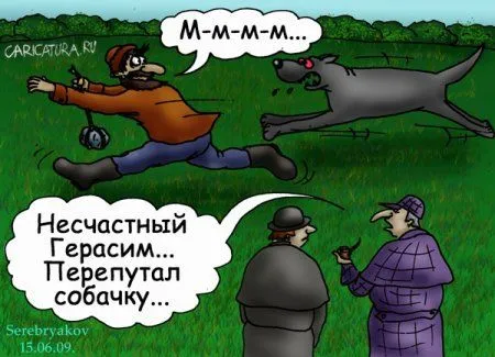 Своя атмосфера, прикольные карикатуры