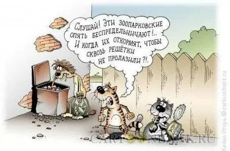 Своя атмосфера, прикольные карикатуры