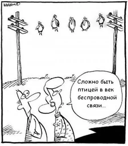 Своя атмосфера, прикольные карикатуры