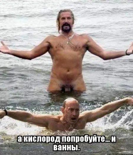 Цитаты, приколы в картинках