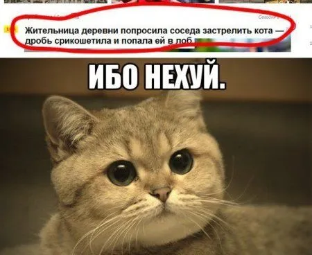 С приколами отличным будет каждый день
