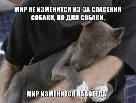 С приколами отличным будет каждый день