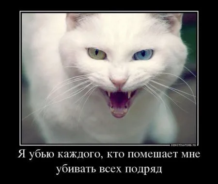 Странные демотиваторы... продолжение Странные демотиваторы... продолжение