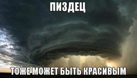 Осенью приколы особенно хороши Осенью приколы особенно хороши