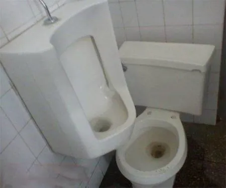 Осенью приколы особенно хороши Осенью приколы особенно хороши