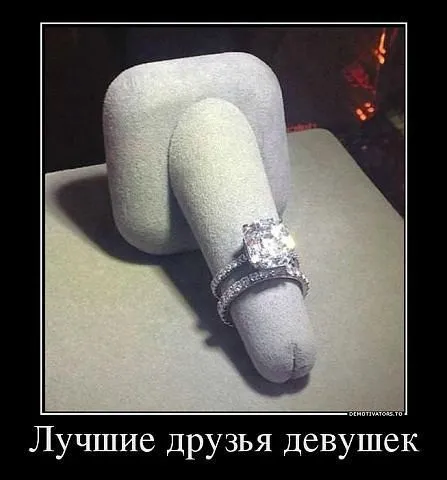 Осенью приколы особенно хороши Осенью приколы особенно хороши