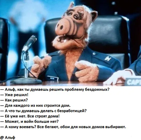 Осенью приколы особенно хороши Осенью приколы особенно хороши