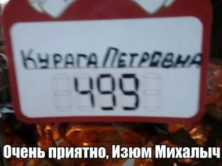 Осенью приколы особенно хороши Осенью приколы особенно хороши