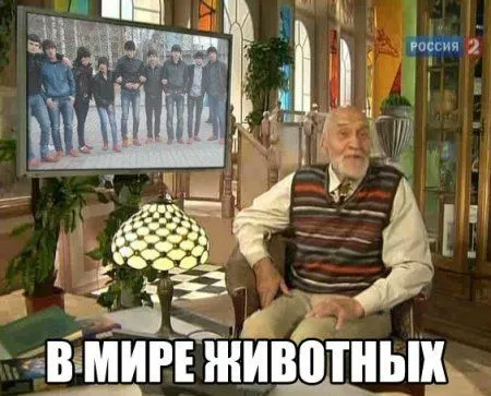 Осенью приколы особенно хороши Осенью приколы особенно хороши